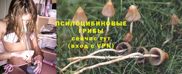 сатива Покровск
