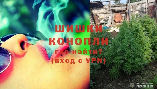сатива Покровск