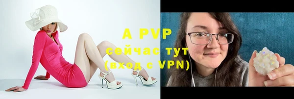 spice Покров