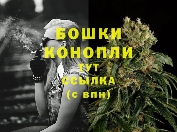 стафф Покачи