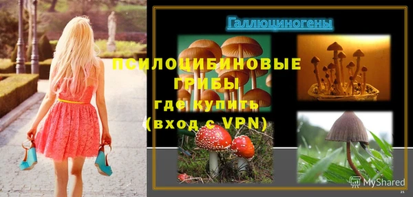 сатива Покровск