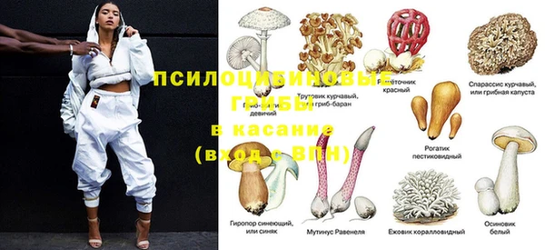 spice Покров