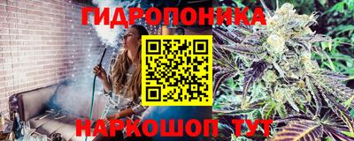 spice Краснознаменск