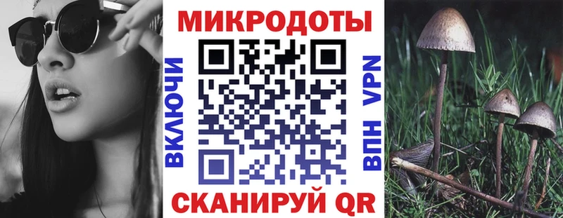 где купить наркоту Сердобск Псилоцибиновые грибы Psilocybine cubensis