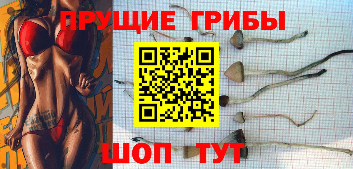 Галлюциногенные грибы MAGIC MUSHROOMS Сердобск