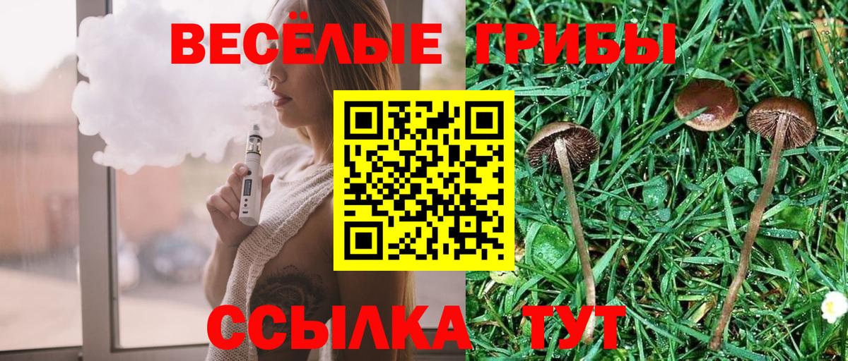 как найти закладки  Сердобск  Псилоцибиновые грибы ЛСД 